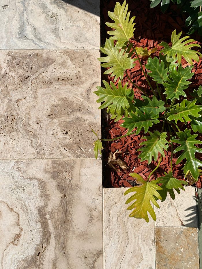 Valencia Travertine Tumbled & Unfilled