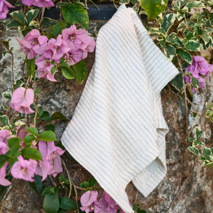 Marina Napkin Set - Off White With Natural Stripe - Image 3