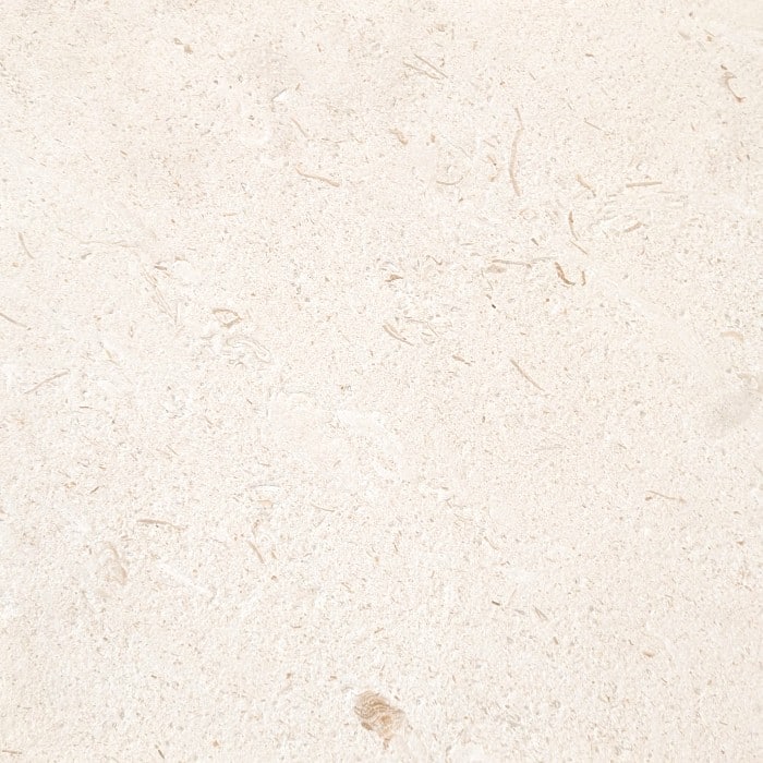 Creamy Beige Limestone Tile with scattered fossilised marine creatures