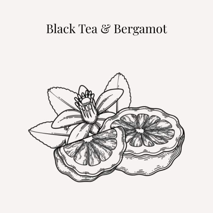 Black Tea and Bergamot fragrance card featuring notes of bergamot, lemon zest, black tea and jasmine