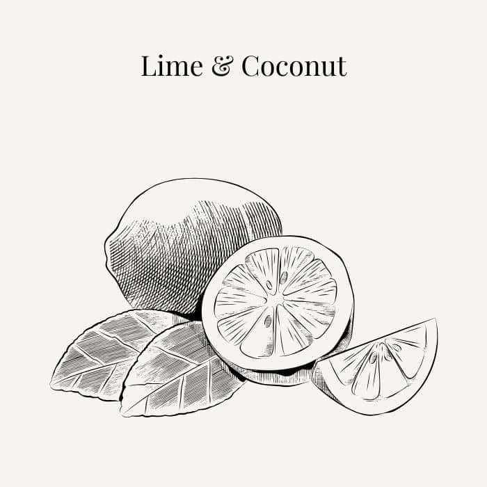 Lime and Coconut fragrance card featuring notes of key lime, orange, toasted coconut and musk