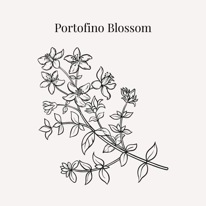 Portofino Blossom fragrance card featuring notes of Sicilian bergamot, blood orange and orange blossom petals