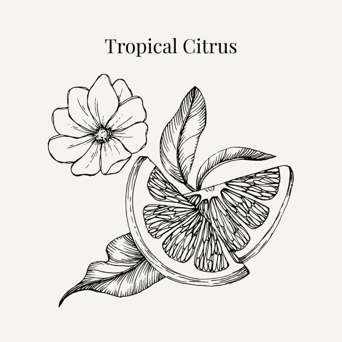 Tropical Citrus fragrance card featuring notes of Meyer lemon, lime, bergamot and mandarin