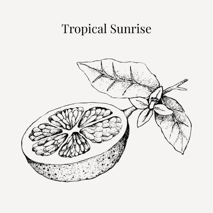 Tropical Sunrise fragrance card featuring notes of orange, mandarin, tangerine and pink grapefruit