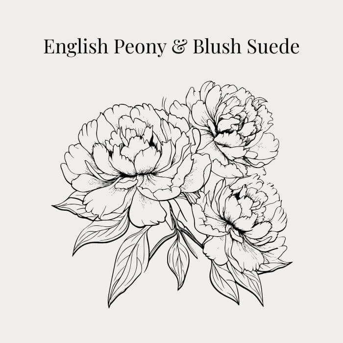 English Peony and Blush Suede fragrance card featuring notes of peony, rose, red apple, suede and musk