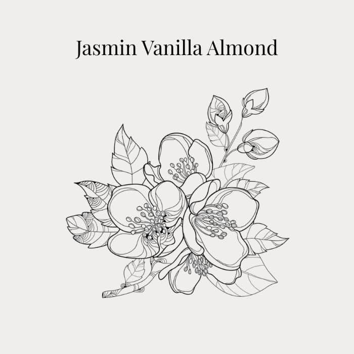 Jasmine Vanilla Almond fragrance card featuring notes of white jasmine petals, creamy vanilla and almond