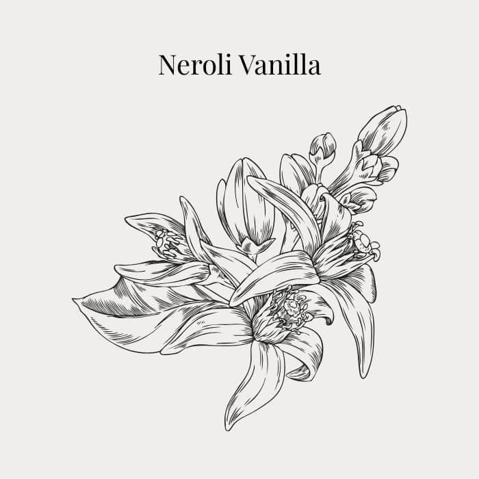 Neroli Vanilla fragrance card featuring notes of neroli, jasmine, vanilla and coconut