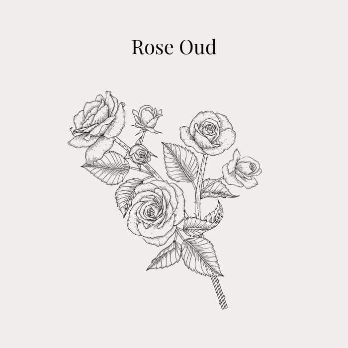 Rose Oud fragrance card featuring notes of rose, cinnamon, clove, oud and vanilla