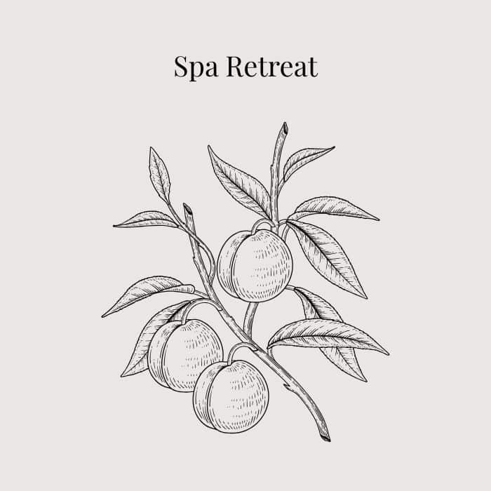 Spa Retreat fragrance card featuring notes of Valencia orange, Italian bergamot, Turkish rose and cedarwood