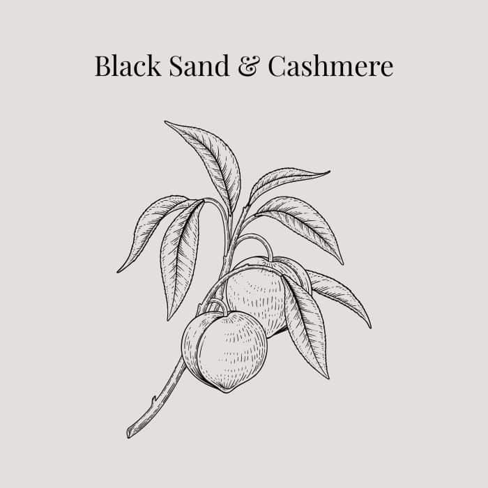 Black Sand and Cashmere fragrance card featuring notes of peach, orange, jasmine, white rose and caramel