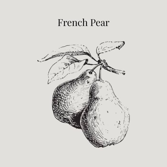 French Pear fragrance card featuring notes of French pear, red pear, peach and vanilla