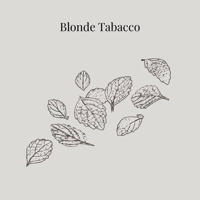 Blonde Tobacco fragrance card featuring notes of orange, mimosa, amber, cedarwood and tobacco