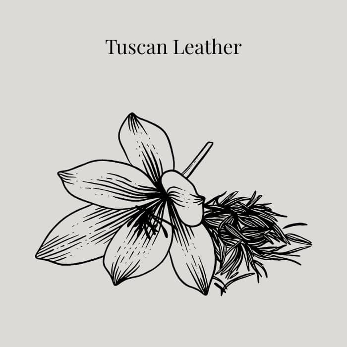 Tuscan Leather fragrance card featuring notes of leather, jasmine, raspberry and amber