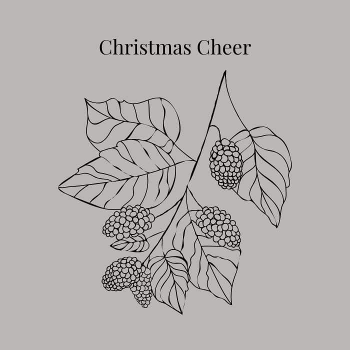 Christmas Cheer fragrance card featuring notes of mulled wine, orange, cinnamon, clove and vanilla