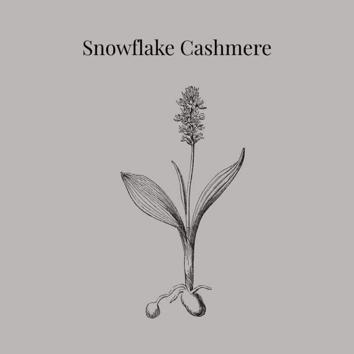 Snowflake Cashmere fragrance card featuring notes of coconut, mimosa, lilac, caramel and amber