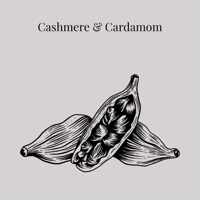 Cashmere and Cardamom fragrance card featuring notes of bergamot, cardamom, jasmine and vanilla bean