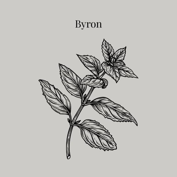 Byron fragrance card featuring notes of cedarwood, sandalwood, bergamot and amber