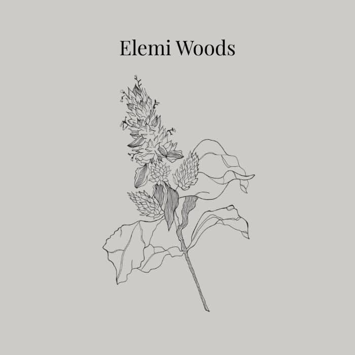 Elemi Woods fragrance card featuring notes of green accord, lemon pepper and cedarwood